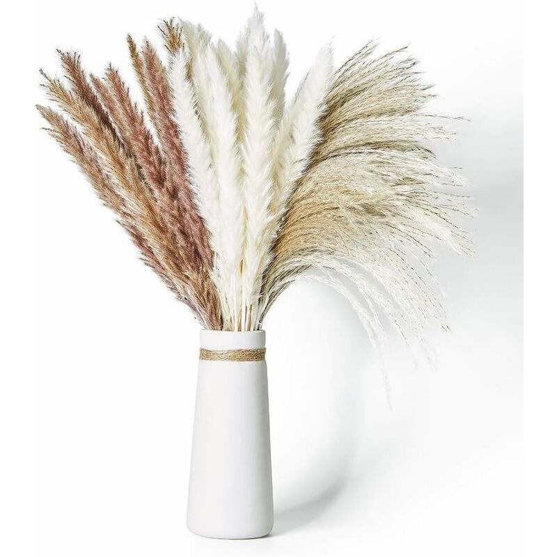 60 Stück 65 cm natürliches getrocknetes Pampasgras in 3 verschiedenen Farben, flauschig und schwingend, DIY-Böhmische Pflanze für