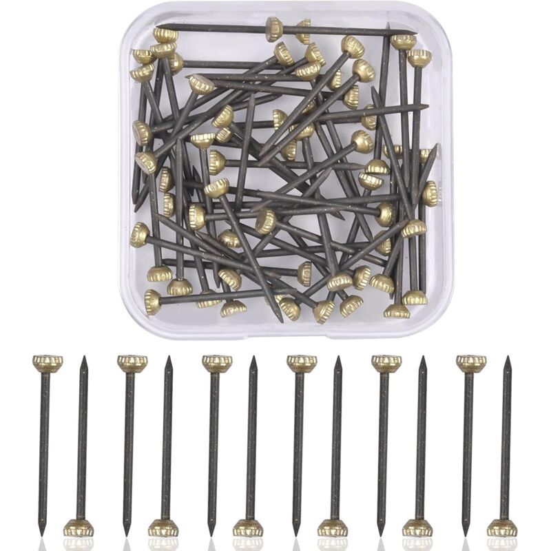 60 Stück Bildernägel Messing Kopfstifte Gips Bilderrahmen Aufhänger Nägel, Bild Aufhängen Lösungen, Schwarze Nägel und Messing Kopf für Messing Bild