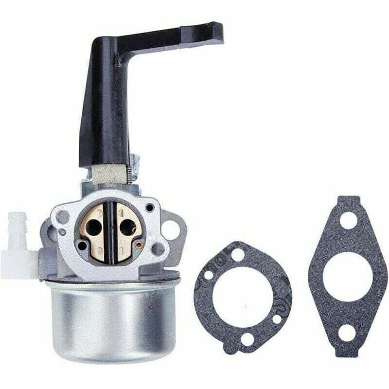 696065 697422 Vergaser mit Montagedichtung passend für Briggs & Stratton 110402 110412 215369 Motor für Motorhacken, Troy Generator, Intek Motor