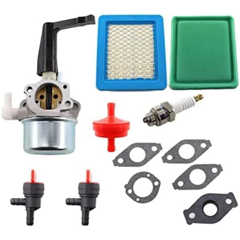 696065 Vergaser mit Dichtung Luftfilter YL-991 Kraftstofffilter YL-999 Zündkerze YL-721 Kompatibel mit Motorhacke 697422 110412 110402 mit 2x