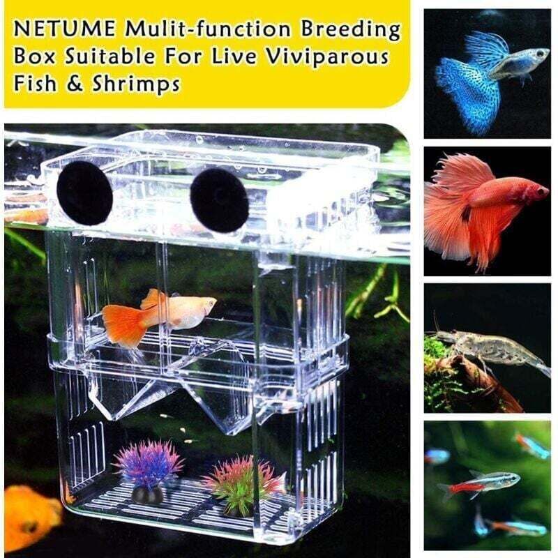 Aquarien-Zuchtbox, XU, Aquarium-Isolationsbox mit Isolierfach, Zubehör für kleine Fische, Garnelen, Clownfische, Guppys - KZQ