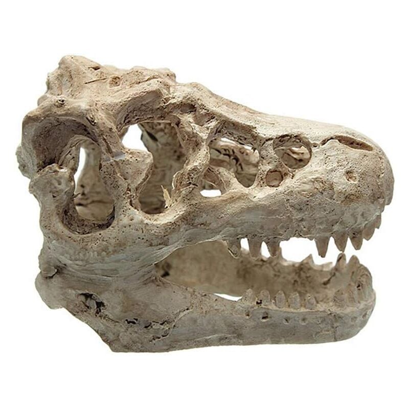 Csparkv - Aquarium-Dekoration, Aquarium-Dekoration, Kunstharz-Simulation, Dinosaurierkopf, Aquarium-Dekoration für Fische, Fisch, Eidechse,