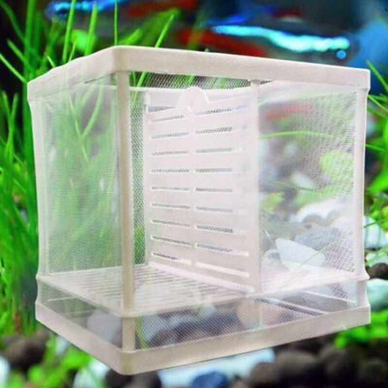 Trade Shop - AQUARIUM-BOX ZUCHT GETRENNTE FISCHE SCHÜTZEN EIER KLEINER INBRUTKASTEN -