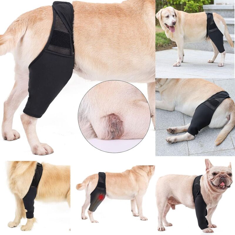 BEBUSINGOTO Kniebandage für Hunde, Knieschoner für Haustiere, Beinwickel, vorne und hinten, Ellenbogenbandage für Hunde, Schutz, Genesung, Arthritis