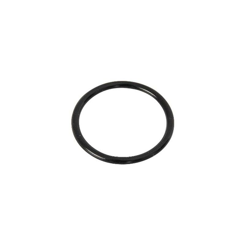 Bestway® Ersatzteil O-Ring (Wasserzulauf) für LAY-Z-SPA® HydroJet Pro™ Whirlpools (2021/22)