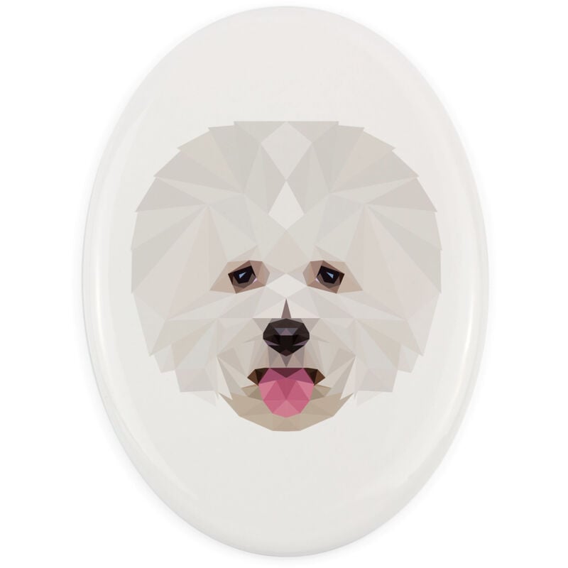 Bichon Frisé, Teneriffa-Hund - ein Teller mit Foto und geometrischer Aufschrift von Art-Dog