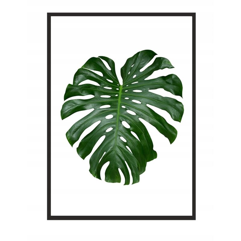 BILD, PLAKAT IM RAHMEN 43x33 cm Blatt 1 P569