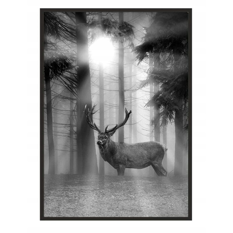 Bild Poster im Rahmen 33x43 cm Hirsch P660