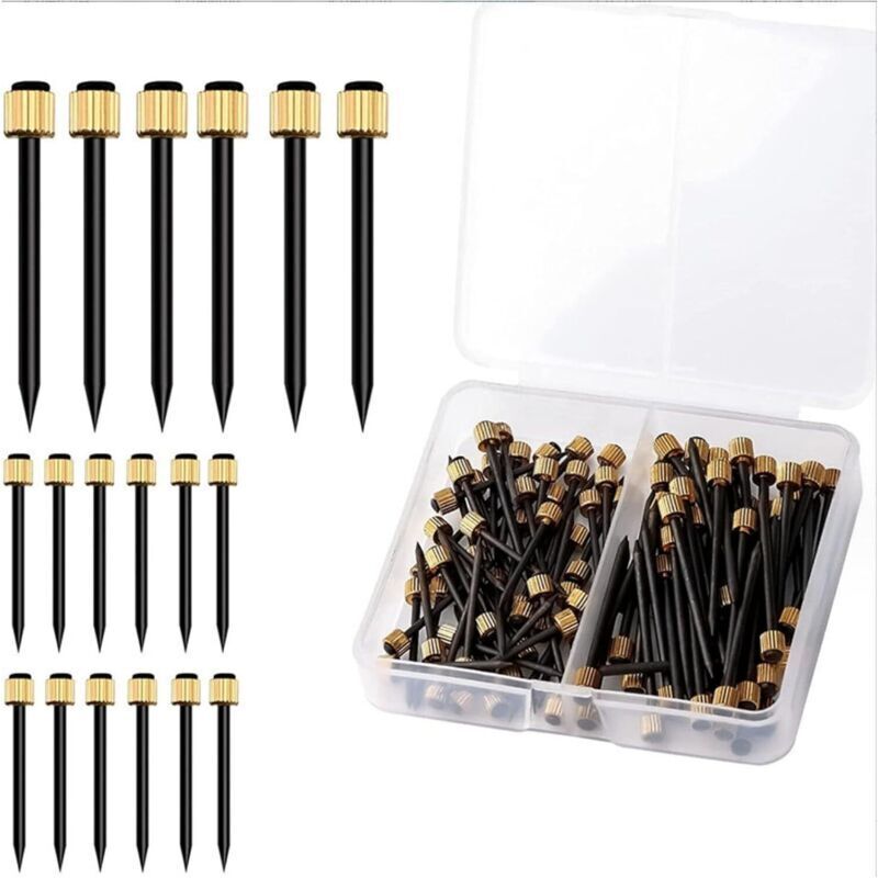 Bilderaufhänger-Nägel, 120er-Packung, mit 4 mm Messingköpfen, zum Aufhängen von Fotos, mit Aufbewahrungsbox aus Kunststoff, kleine Nägel für Rahmen,