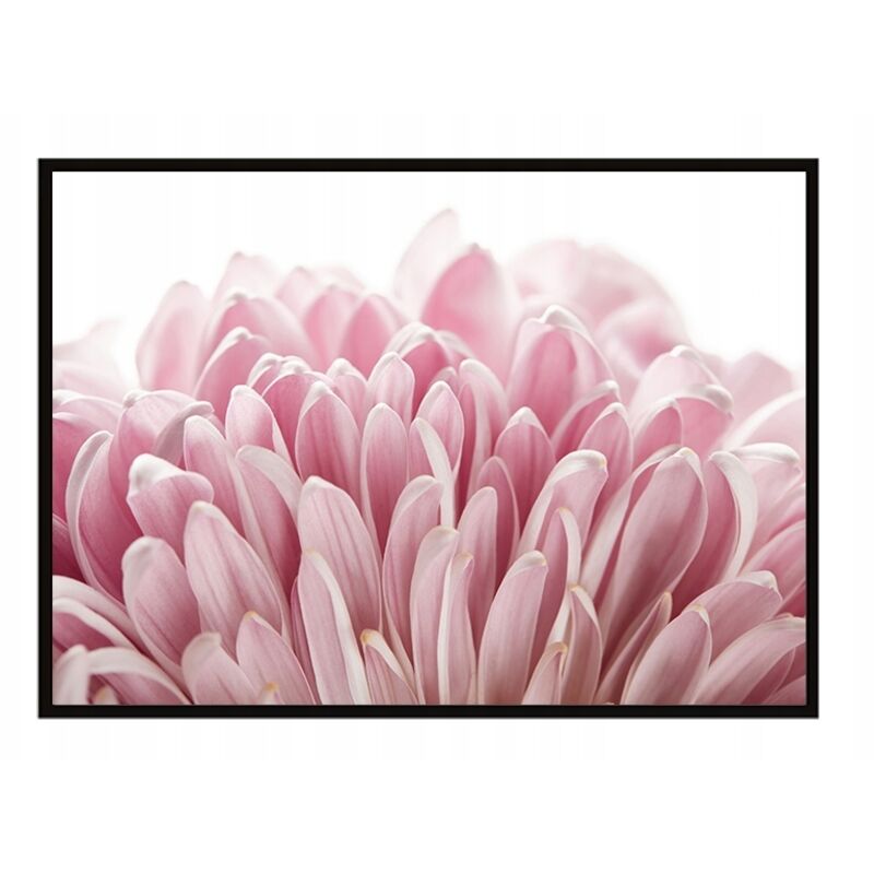 BILDERRAHMEN FÜR PLAKATE 53x73 cm Blume P1682