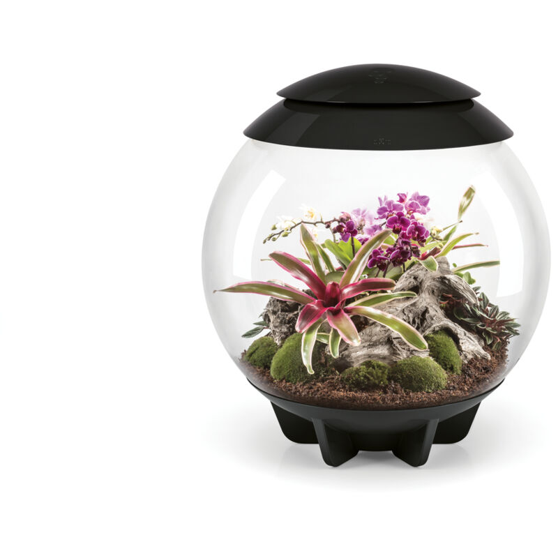 Oase Air 60 schwarz - Air 60 black - oase