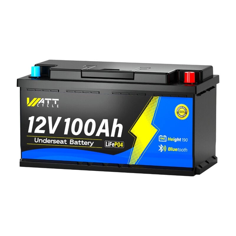 Bluetooth LiFePO4 12V 100Ah Akku mit 100A bms & Kälteschutz – Bis zu 15000 Ladezyklen – Für Camper-Sitze, Caravan, Boot & Solaranlage – Höhe 190mm