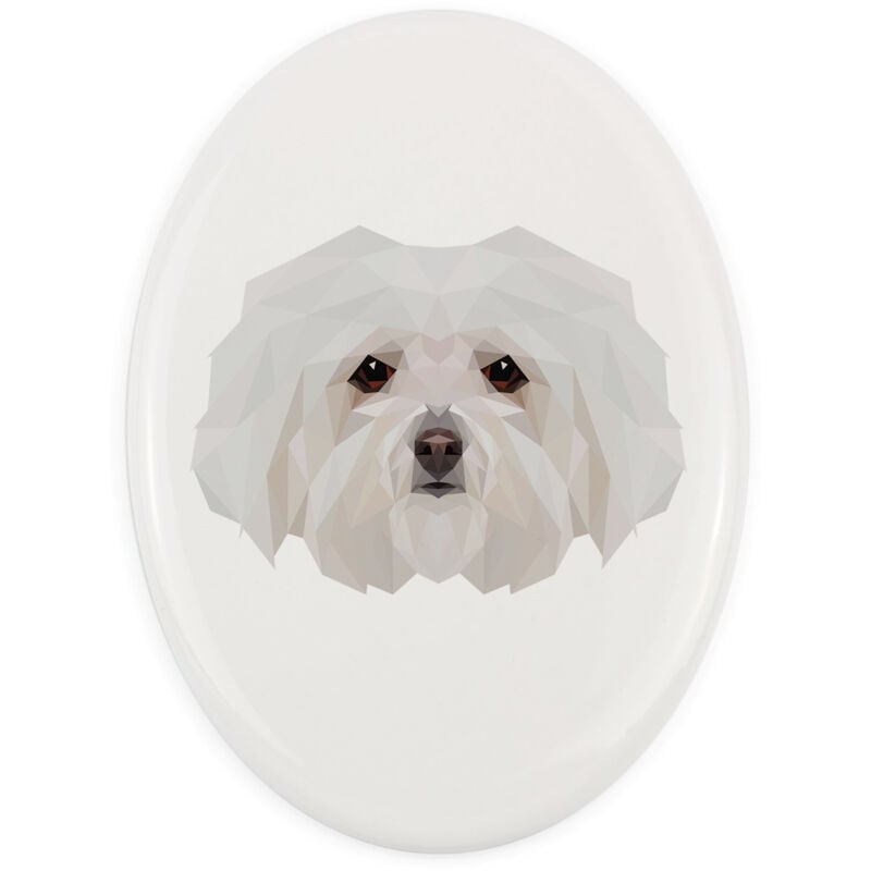 Bolognese - eine geometrische Fliese mit Foto und Aufschrift von Art-Dog