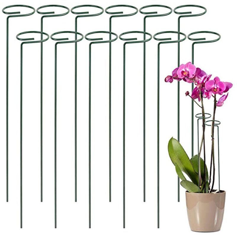 Ccykxa - Kit 12 Pflanzenunterstützung Stützen für Kletterpflanzen und Blumen Grüner Tutor Helfen Sie Ihren Blumen beim Wachsen Tomaten-Gartenstecker