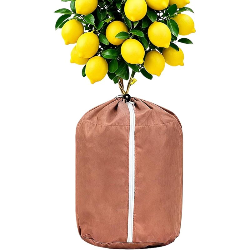 CCYKXA Winterschutzhüllen Schneeschutz mit atmungsaktiver Isolierung, frostbeständiges Gewebe – für Garten, Bäume, Rosen, Sträucher, Büsche, Gemüse,