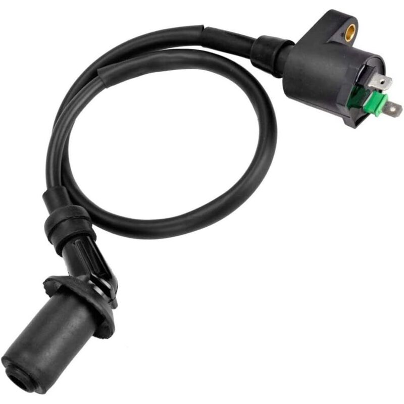 CCYKXA Zündspule für GY6 50ccm, 125ccm und 150ccm Motor