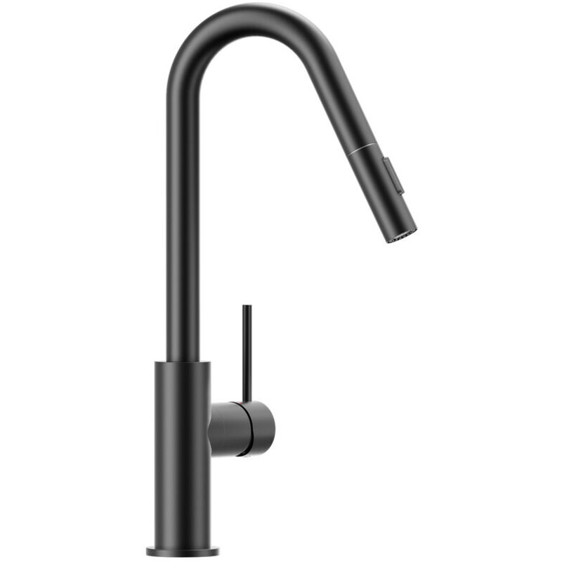 CECIPA MAX Wasserhahn Küche Ausziehbar Einhand Mischbatterie 360° Drehbar Modern Spültischarmatur für Küche mit 2 Strahlarten, Schwarz