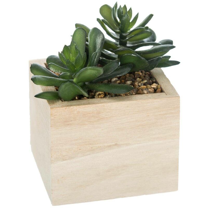 Künstliche Pflanze H14cm - Geformte 2