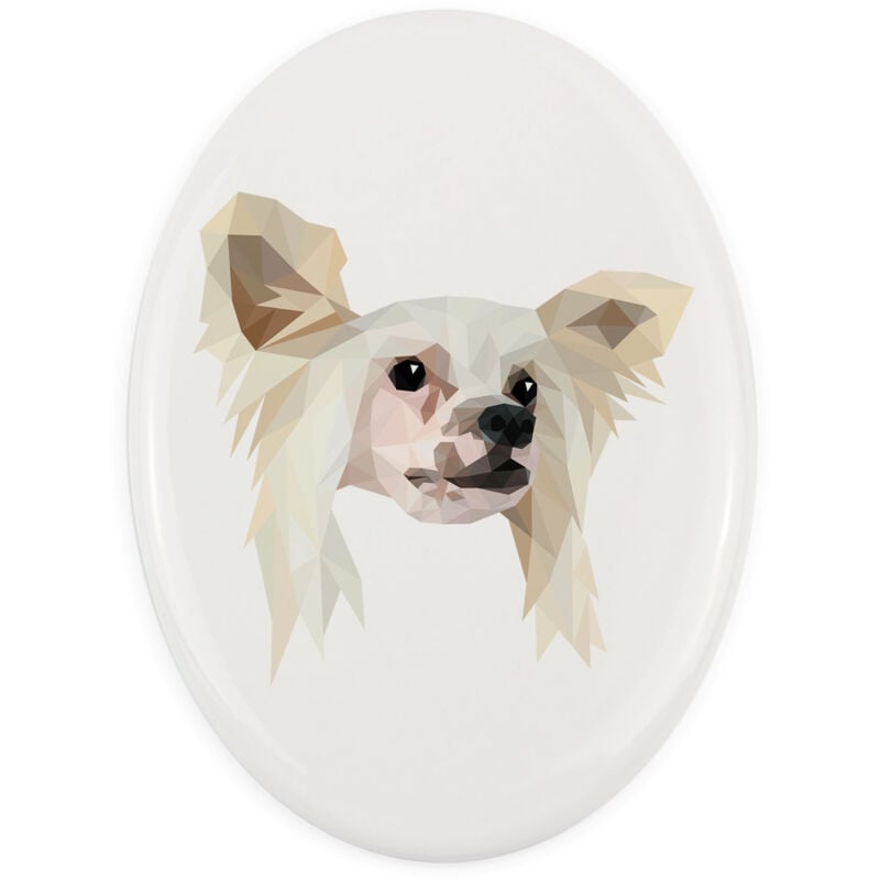 Chinese Crested - ein Teller mit Foto und geometrischer Aufschrift von Art-Dog