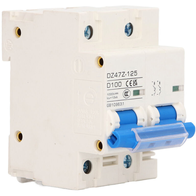 DC 2P DZ47Z 125 100A Leitungsschutzschalter, DIN-Schienenmontage, für 1000V PV-Solaranlagen, Blau