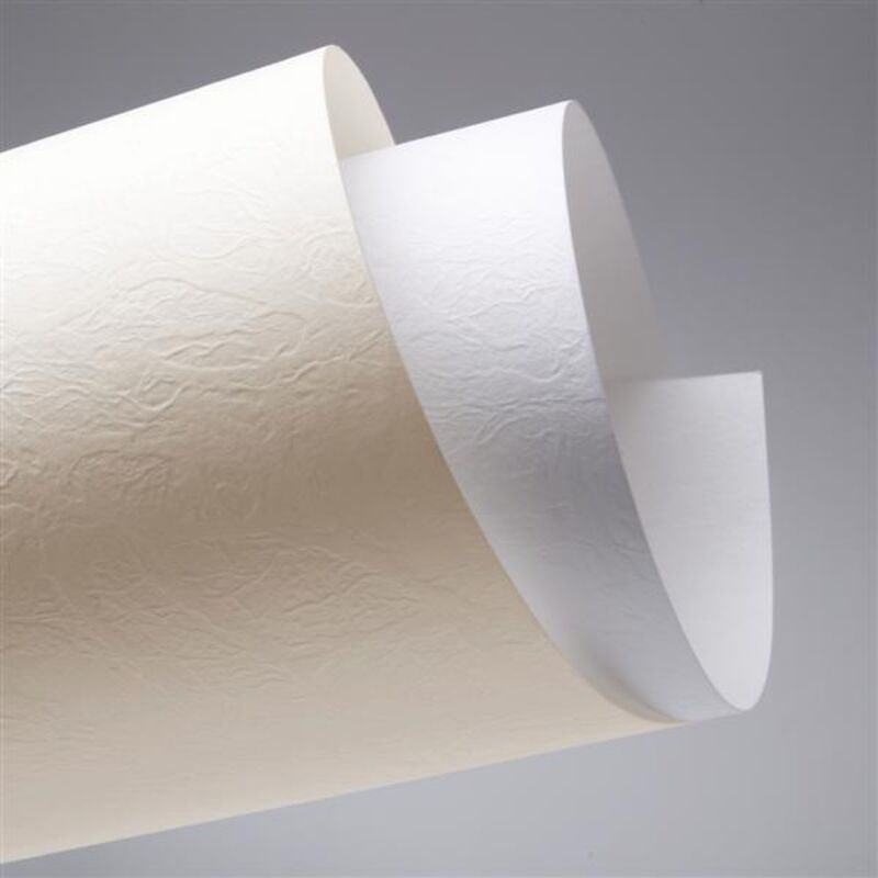 Dekorativer Karton Weiss Leder 230g/m2 (20) 4109