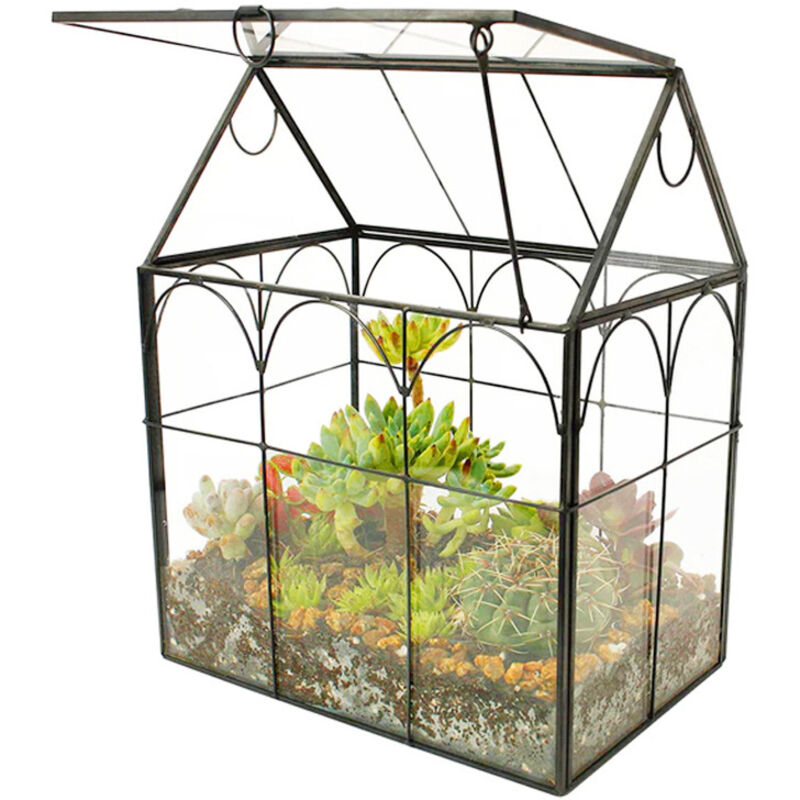 Dekoratives und praktisches Terrarium für Ihre Pflanzen, für die Fensterbank, 18 x 12 x 22,5 cm, Schwarz