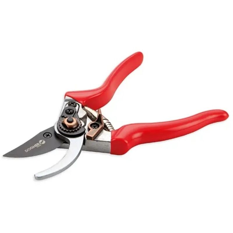 Ersatzschraube für Hochleistungs-Gartenscheren Dogher 960-003TOR