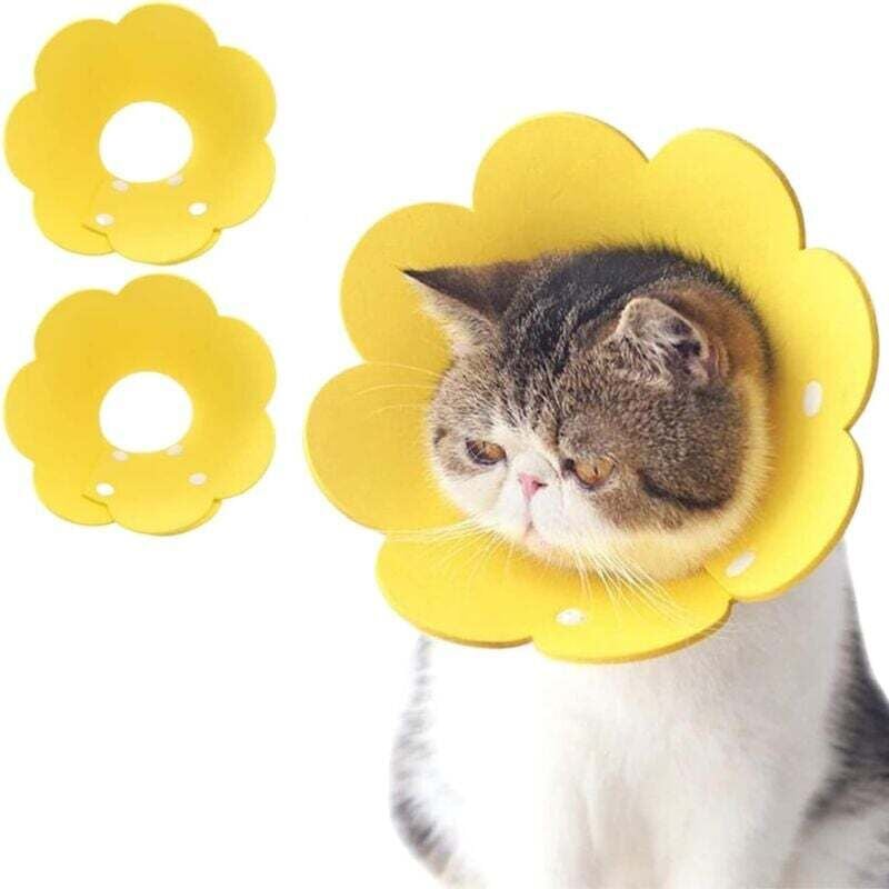 Aiperq - shining house Elektrostarter, Ersatz für 50 cc, 70 cc, 90 cc, 110 cc, 125 cc, TaoTao, Jetmoto, Roketa, Sunl, Coolseter, atv, Quad, Dirtbike,