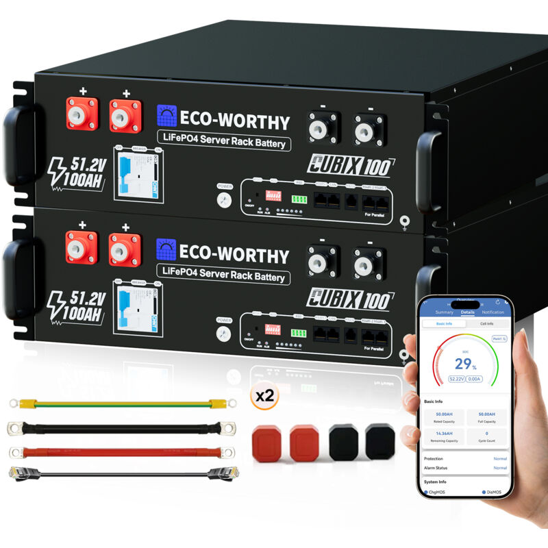 ECO-WORTHY LiFePO4 48V 100Ah Bluetooth 5,12KWh Lithium batterie mit 100A BMS, Server Rack Solarbatterie für Solaranlage