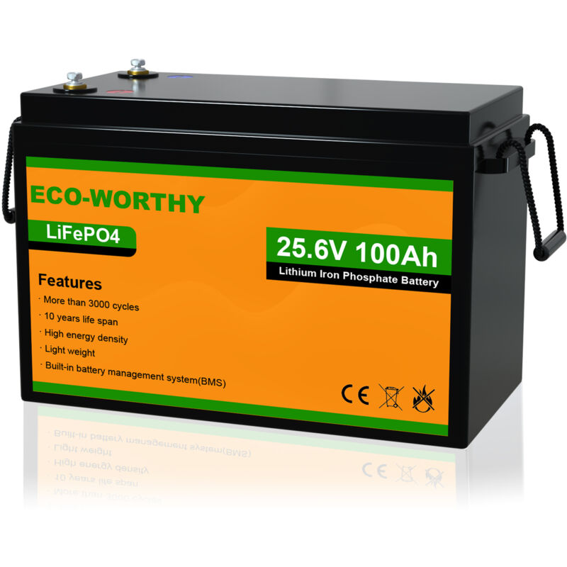 24V 100Ah Lithium Batterie LiFePO4 Akku mit mehr als 3000+ tiefen Zyklen und BMS-Schutz für Solaranlagen, Wohnmobile, Boote, Häuser,