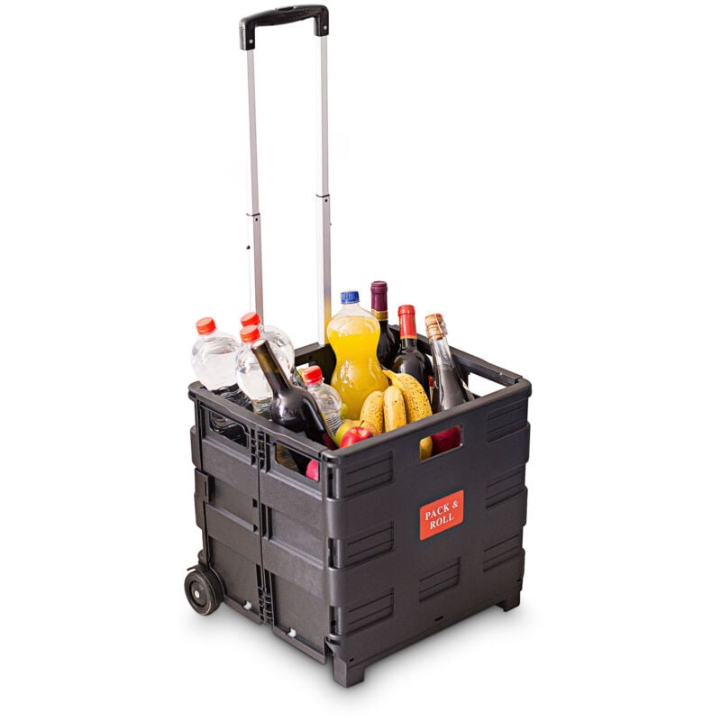 Relaxdays - 2 x Einkaufstrolley, Klappbar, Einkaufsroller bis 35 kg, Verstellbarer Griff, Mit Rollen, hbt: 100 x 42 x 37 cm, schwarz