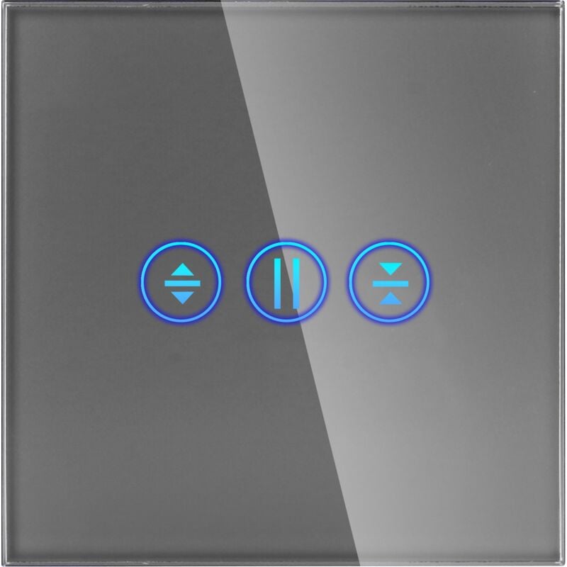 Einzelglas-Rollos, Grau, DC Smart Home