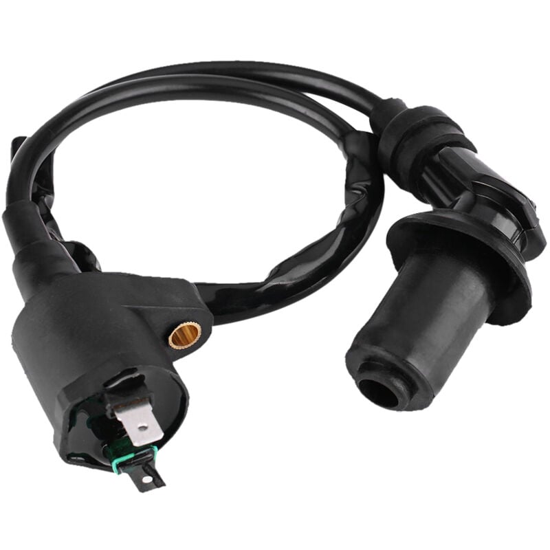 Motorrad Zündspule, Roller Zündspule Zündkerzenstecker für GY6 50CC 125CC 150CC atv Roller Motor Moped Dirt Bike Go Kart (Schwarz) - Ej.life