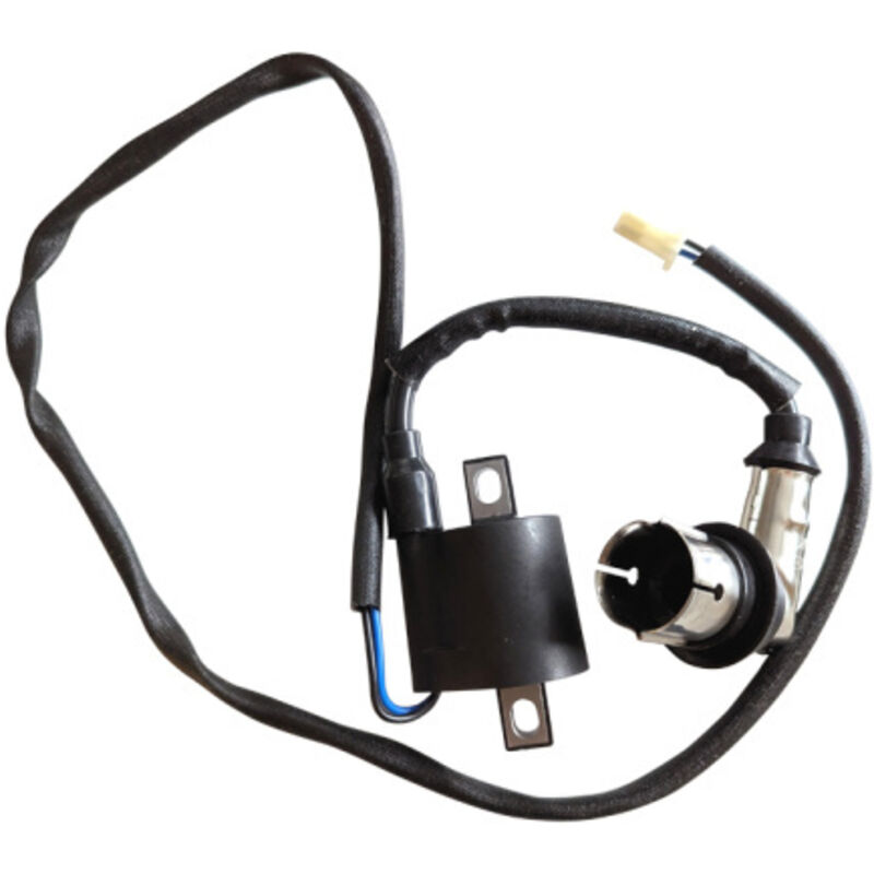 Ersatz Zündspule ZD31N für Inverter Stromerzeuger uvm.