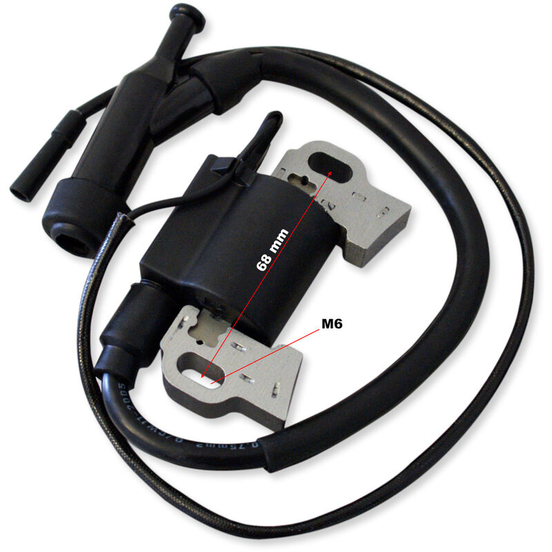 Lifan Ersatzteil für 6,5 ps Benzinmotor Zündspule mit Zündkabel, leistungsstarker 4-Takt Motor, Benzin Motor Hubraum 196 ccm E10 kompatibel