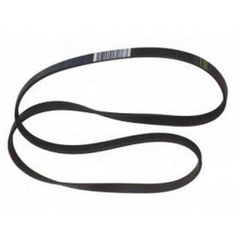 Fagor - Ersatzteil - Riemen 1249j5 1249j6 - - whirlpool, bauknecht, brandt, thomson, blomberg, sangiorgio, laden, elektra-bregenz, de dietrich,