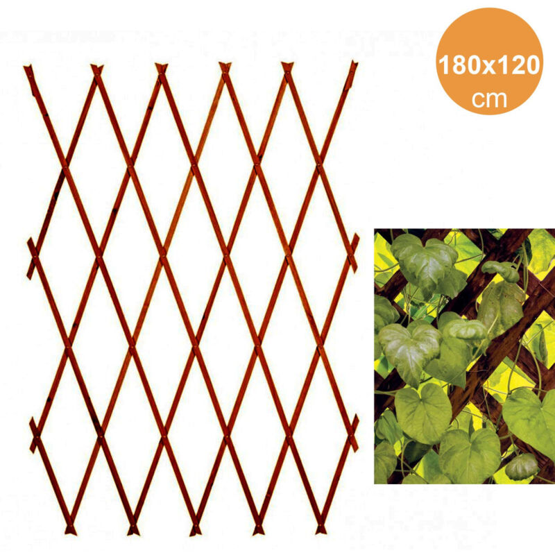 Trade Shop Traesio - Trade Shop - Ausziehbares Netzgitter aus dunklem Holz für Gartenmauerpflanzen, 180 x 120 cm -