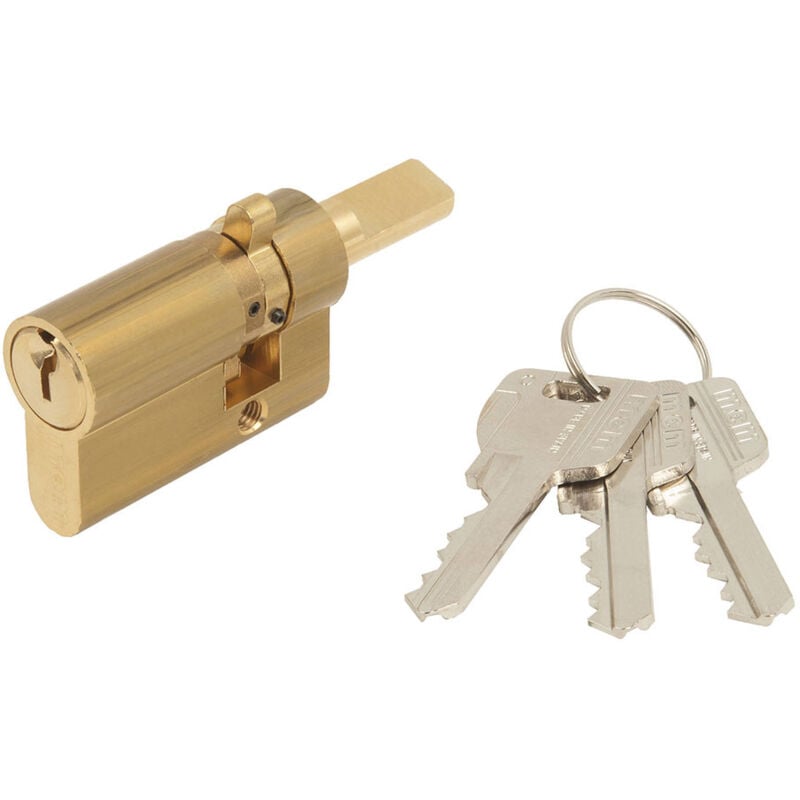 Europrofilzylinder für Schloss 1561 542 MCM