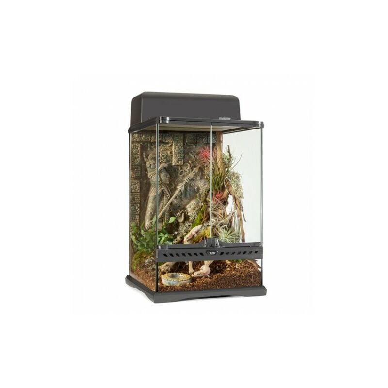 Azteca Terrarium Mini-tall.30x30x45 cm - Exo Terra