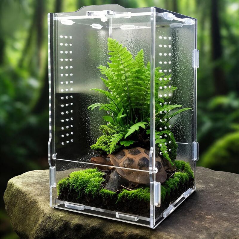 Faunarium, Insektenterrarium, Acryl-Terrarium, Allzweckbehälter für Reptilien, Amphibien, Sprungspinnen, Vogelspinnen, Schnecken, Frösche und