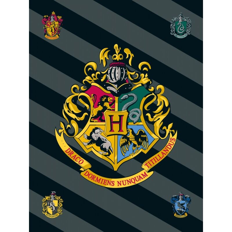Harry Potter Fleece-Decke 100x150 cm Kuscheldecke aus 100 % Polyester, Weich & Warm