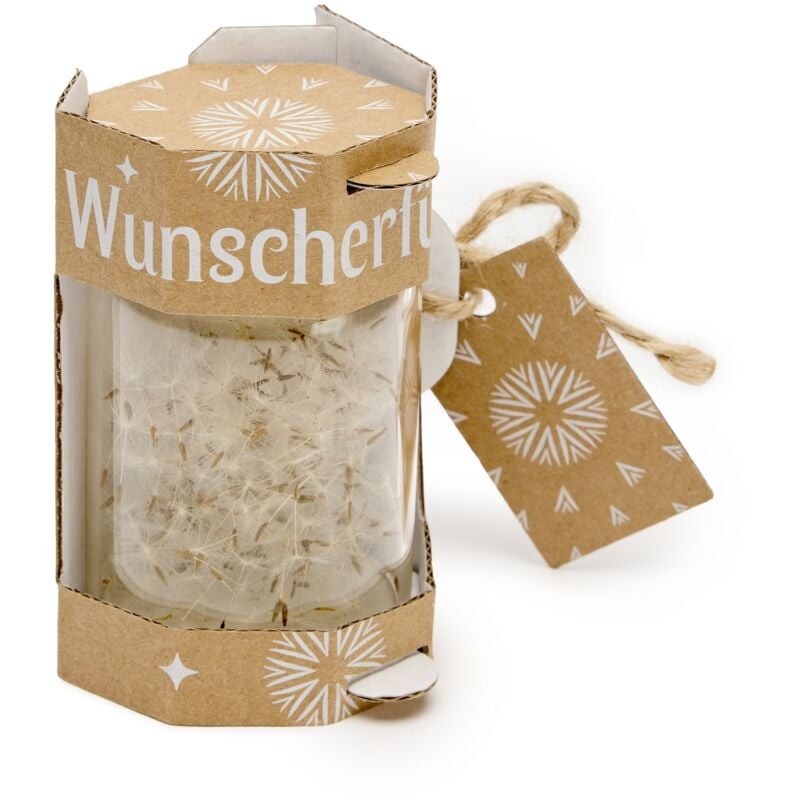 Garronda Wunscherfüller - Pusteblumen-Schirmchen im Glas 2 Stück, Charmante Kleine Geschenke für Frauen, Kreative Geschenkideen für Geburtstag GD-0077