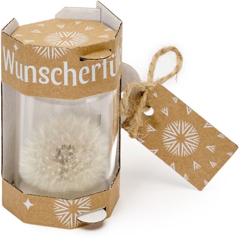Garronda Wunscherfüller - Elegante Pusteblume im Glas, Charmante Kleine Geschenke für Frauen, Kreative Geschenkideen für Geburtstag GD-0077