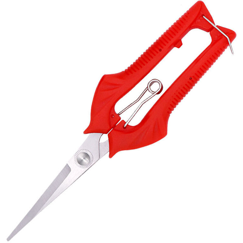 Gartenschere für Zweige mit rosa Blüten und Früchten, Bonsai