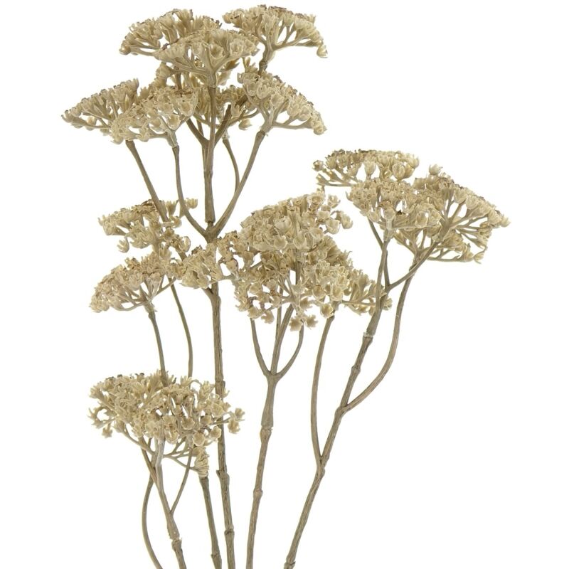 Schafgarbe - Achillea Beige 73 cm - Kunstblumen - Gasper