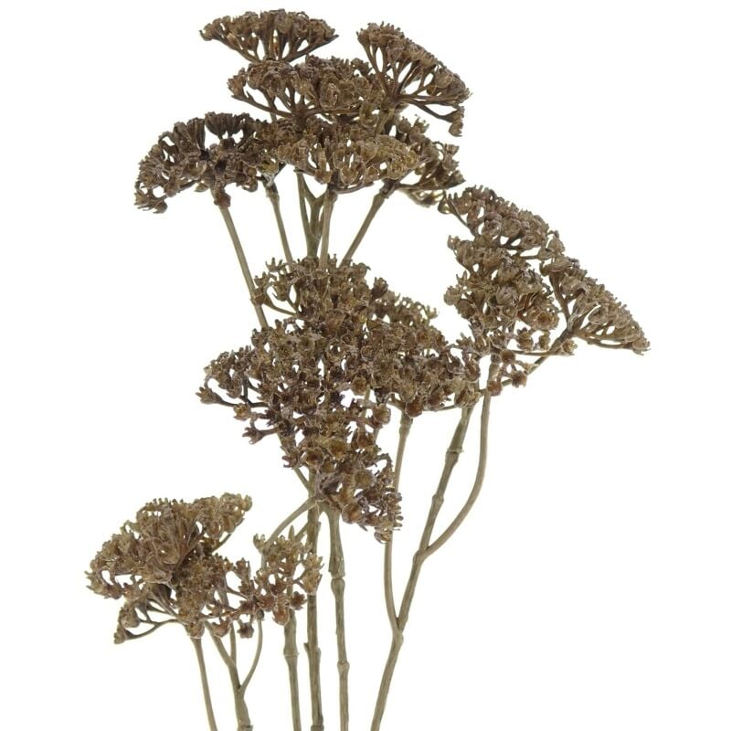 Schafgarbe - Achillea Braun 73 cm - Kunstblumen - Gasper