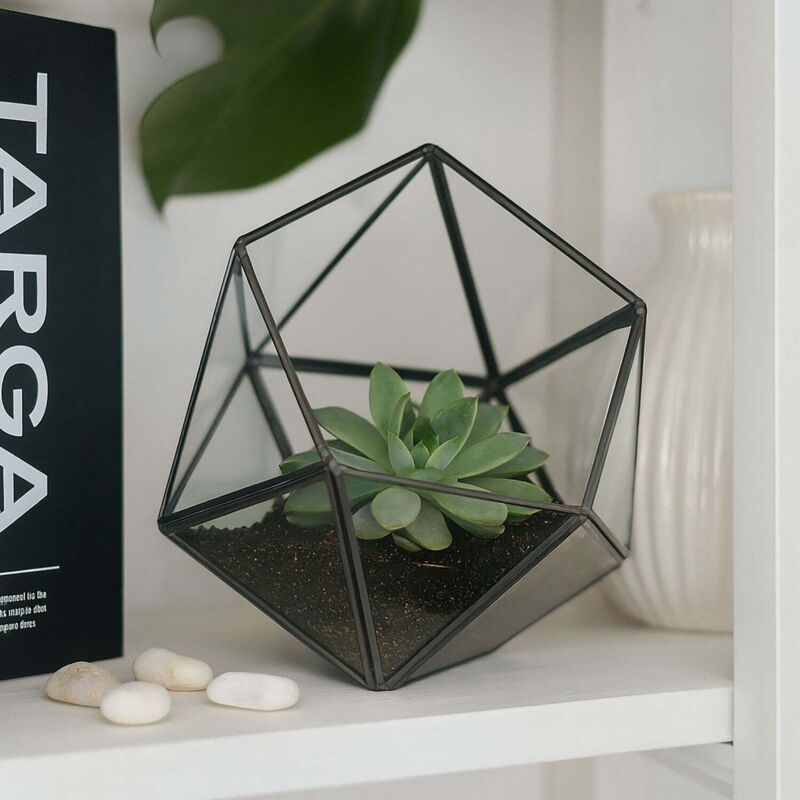 Geometrisches Glas-Terrarium für Kakteen und Sukkulenten