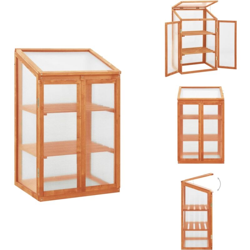 Gewächshaus 60x45x100 cm Tannenholz - Holzgewächshaus - Gartenhaus - Gewächshaus Aus Holz - Tannenholz Gewächshaus - Mini Gewächshaus