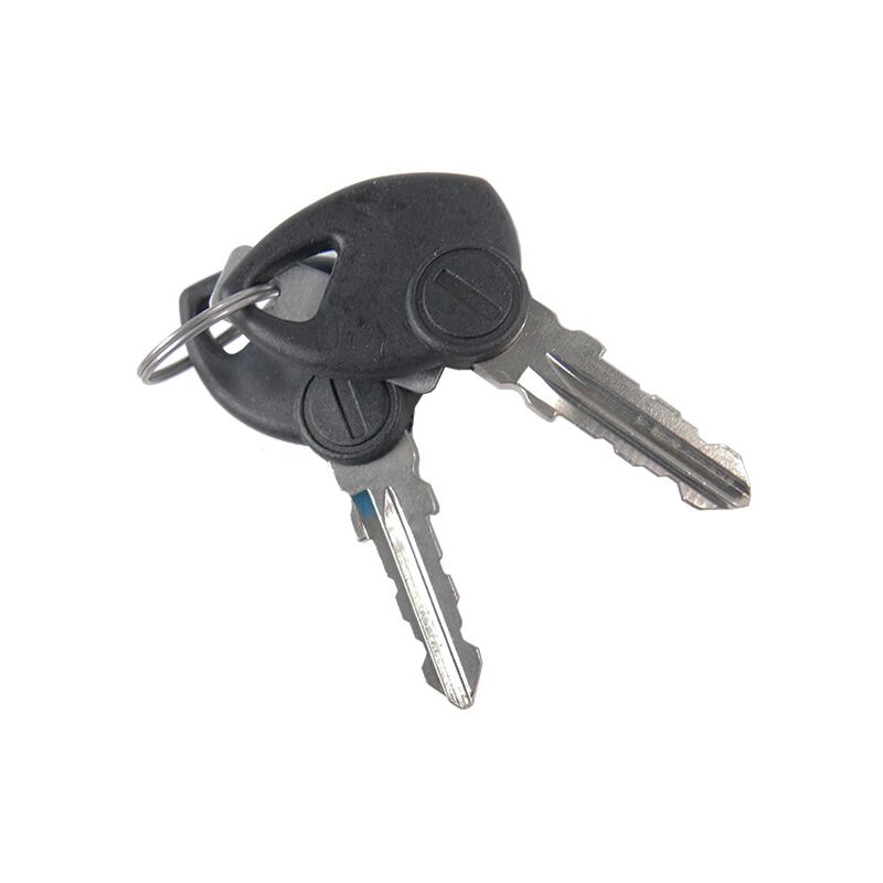 GGP Rasentraktor-Zündschlüssel 118210022/0