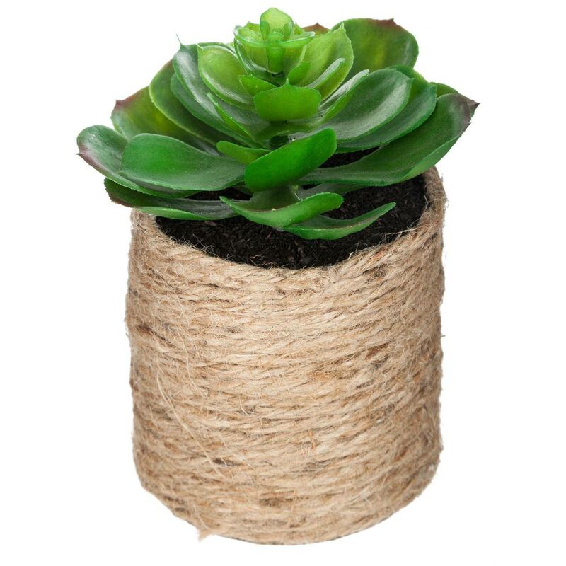 Atmosphera - Künstliche Pflanze H16cm - Modell 1